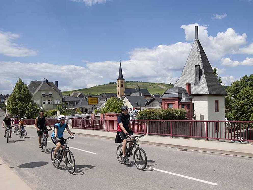 Radfahrer unterwegs am Moselradweg bei Trier in Deutschland