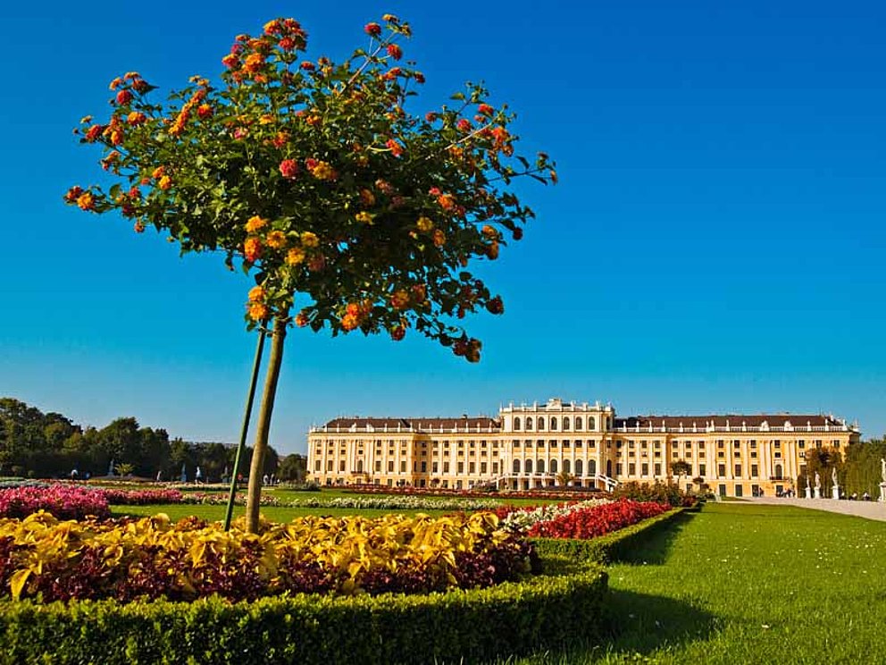 der blühende Park von Schönbrunn mit dem imperialen Schloss im Hintergrund.