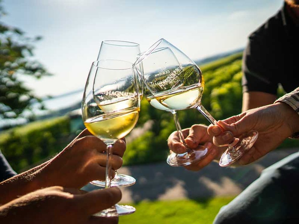 2 persons hold glasses with white wine, vineyards in the back