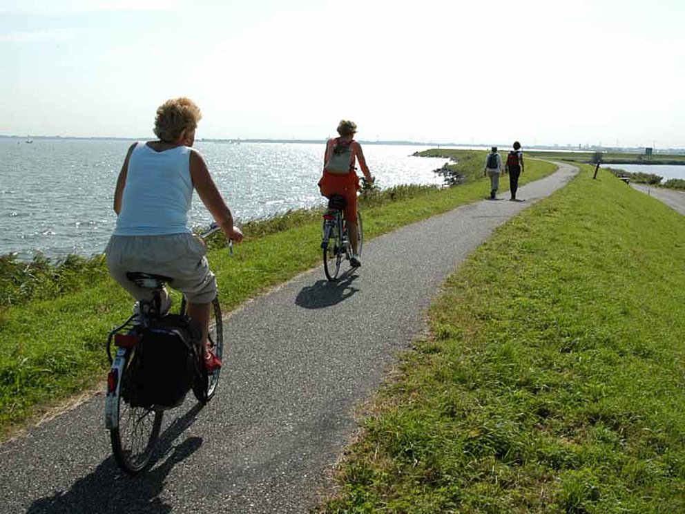 Radfahren auf einem Damm in Holland. Links und rechts davon das Meer.