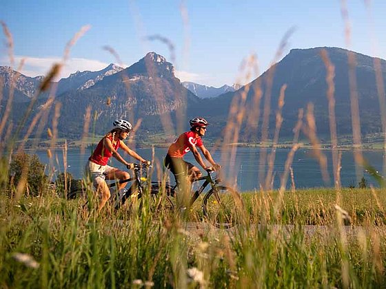 zwei Radfahrer radeln nahe dem Wolfgangsee. Der Blick fällt durch Grashalme auf die beiden. Dahinter liegt der See. Hohe Berge sind am gegenüberliegenden Ufer.