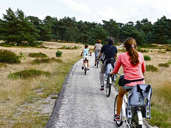 Mehrer Radfahrer fahren über einen geschotterten Weg in ländlicher Umgebung in Holland.