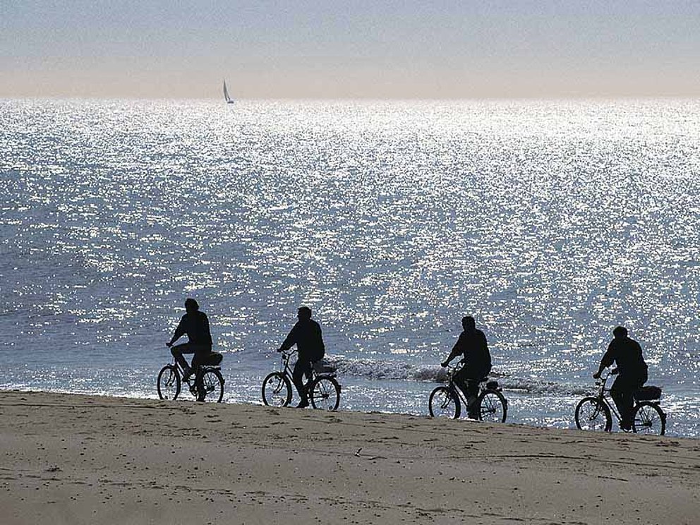 Radfahrer unterwegs an der Ostsee bei Fischland Darß
