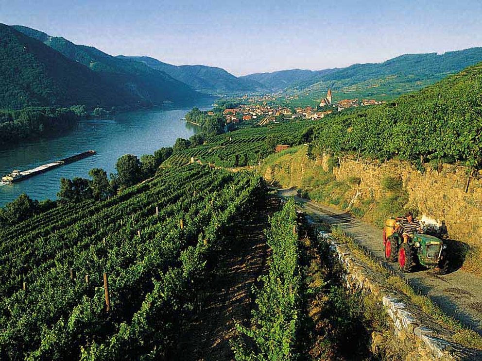 von den Weinbergen der Wachau bietet sich ein atemberaubender Blick auf die Donau.