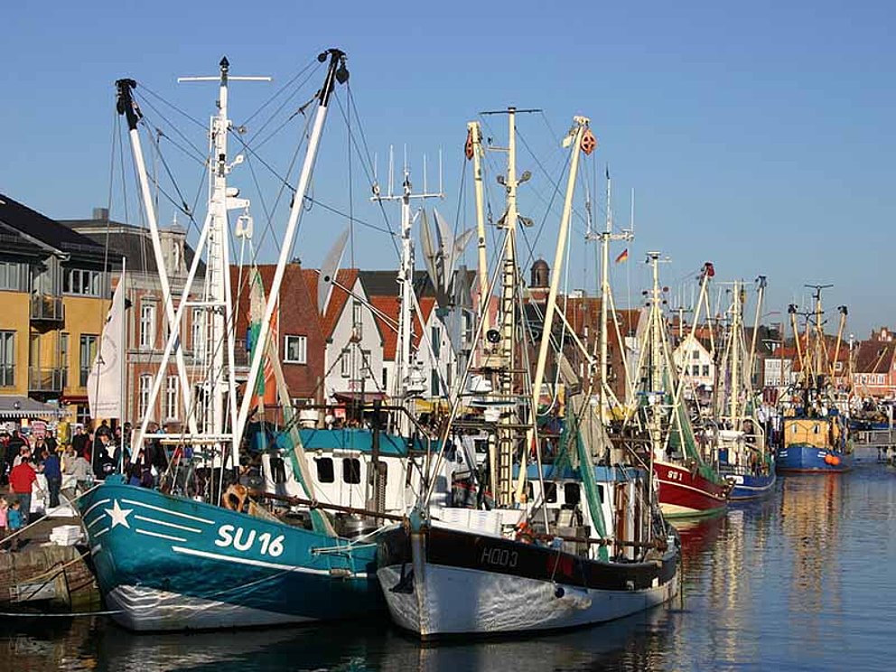 Hafenkulisse mit vielen Krabbenbooten in Husum an der Nordsee
