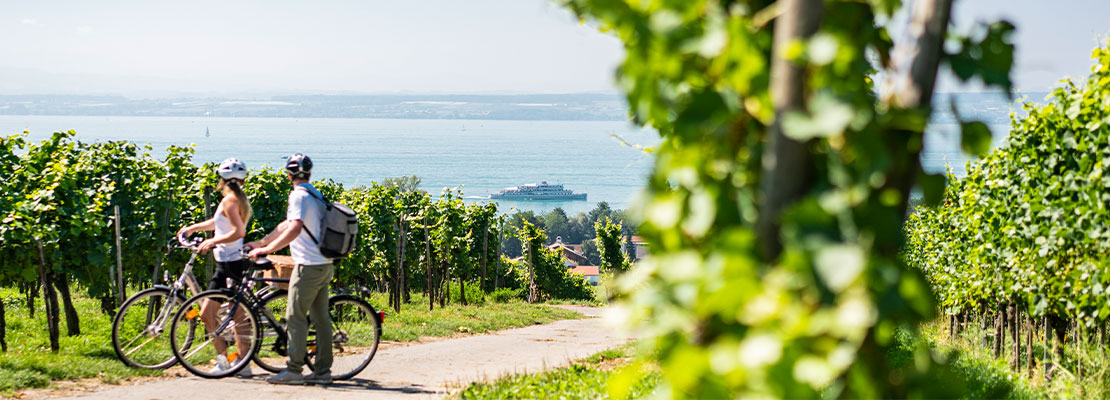 2 Radfahrer am asphaltierten Radweg im Weingarten blicken über den Bodensee im Hintergrund