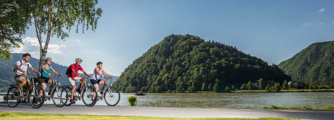 4 Radfahrer am Radweg direkt neben der Donau umgeben von bewaldeten Hügeln.