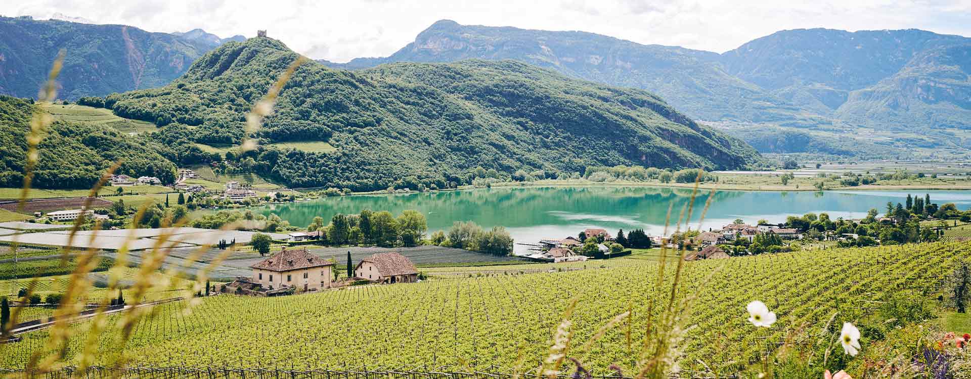 Blick auf den Kalterersee in Südtirol